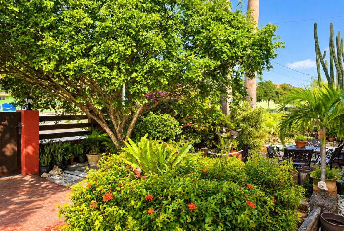For Sale: Exclusive Oceanfront Property